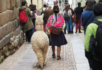 Tours del Día Tours del Día