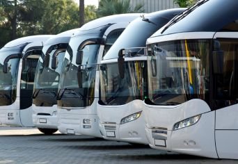 bus panoramico bus panoramico